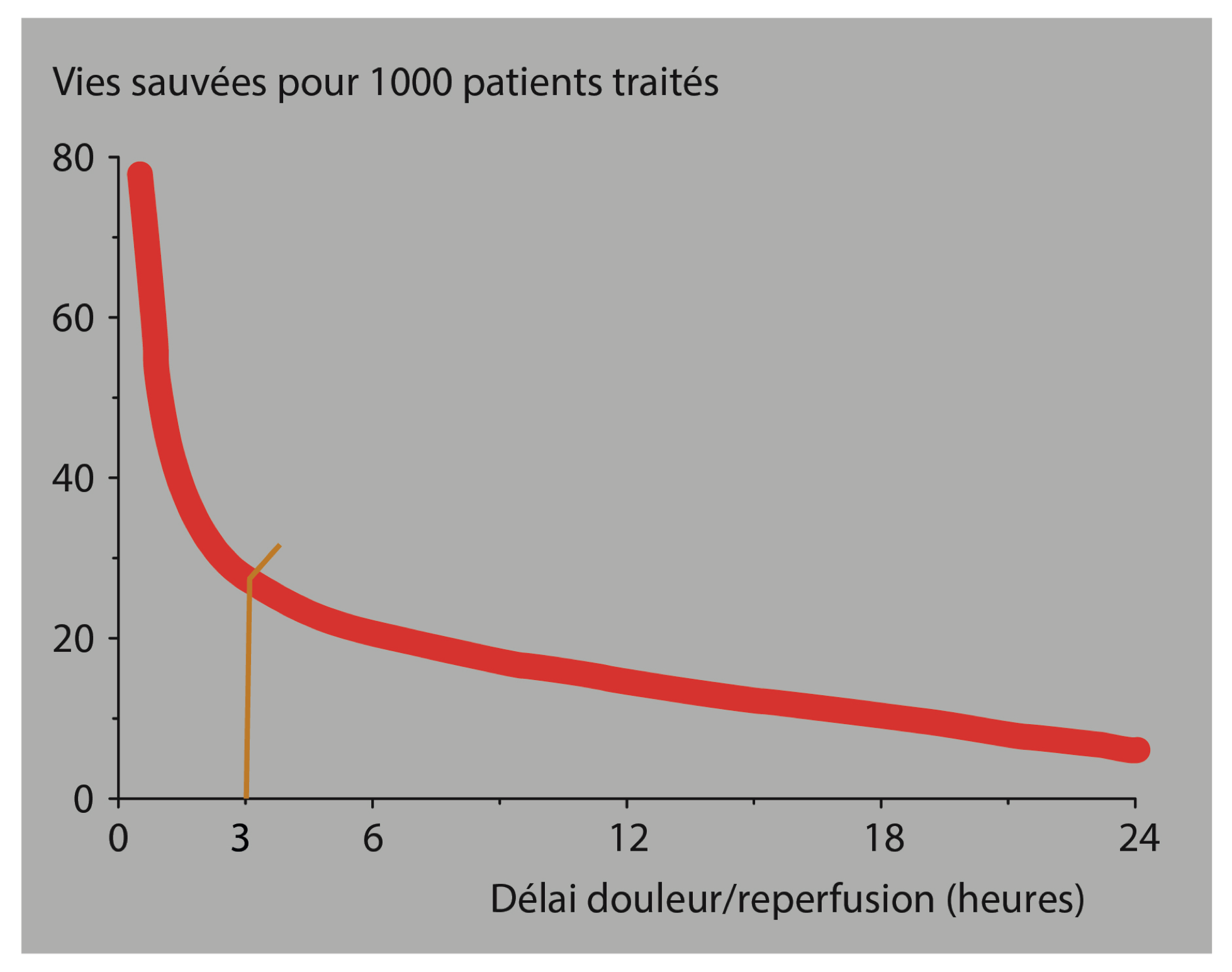 La prise en charge, à la phase aiguë, des syndromes coronaires aigus avec sus décalage du segment ST