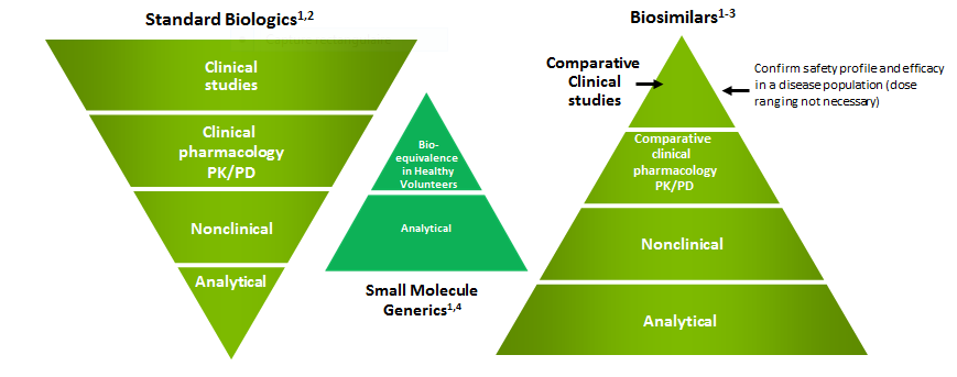 Trastuzumab biosimilars in Her2-overexpressing breast cancer