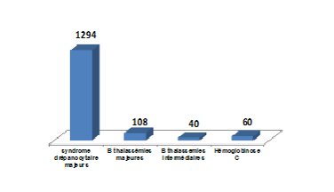 Major sickle cell syndromes in the Annaba region